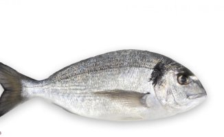 Sea bream: know its properties, benefits and nutritional value