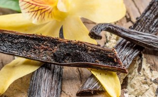 Benefits of vanilla: discover its properties and why it is good for your health