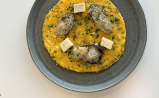 Prepare this original open omelette that highlights Catalan oysters