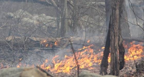 20-acre brush fire contained in northern Warren County