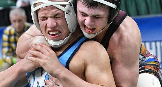 Section II wrestlers have tough day, but 8 alive for titles